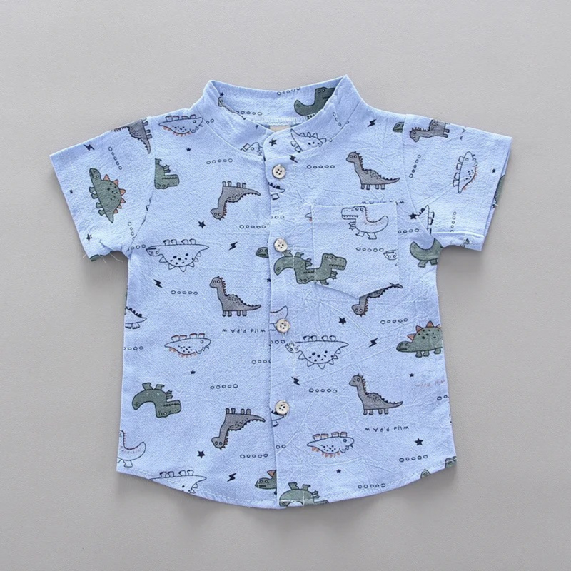 Conjunto Infantil Menino Camisa Dinossauro + Shorts Verão Algodão